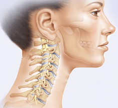 description of the cervical spine